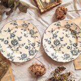 Duo of flat earthenware plates