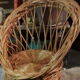 Fauteuil osier enfant