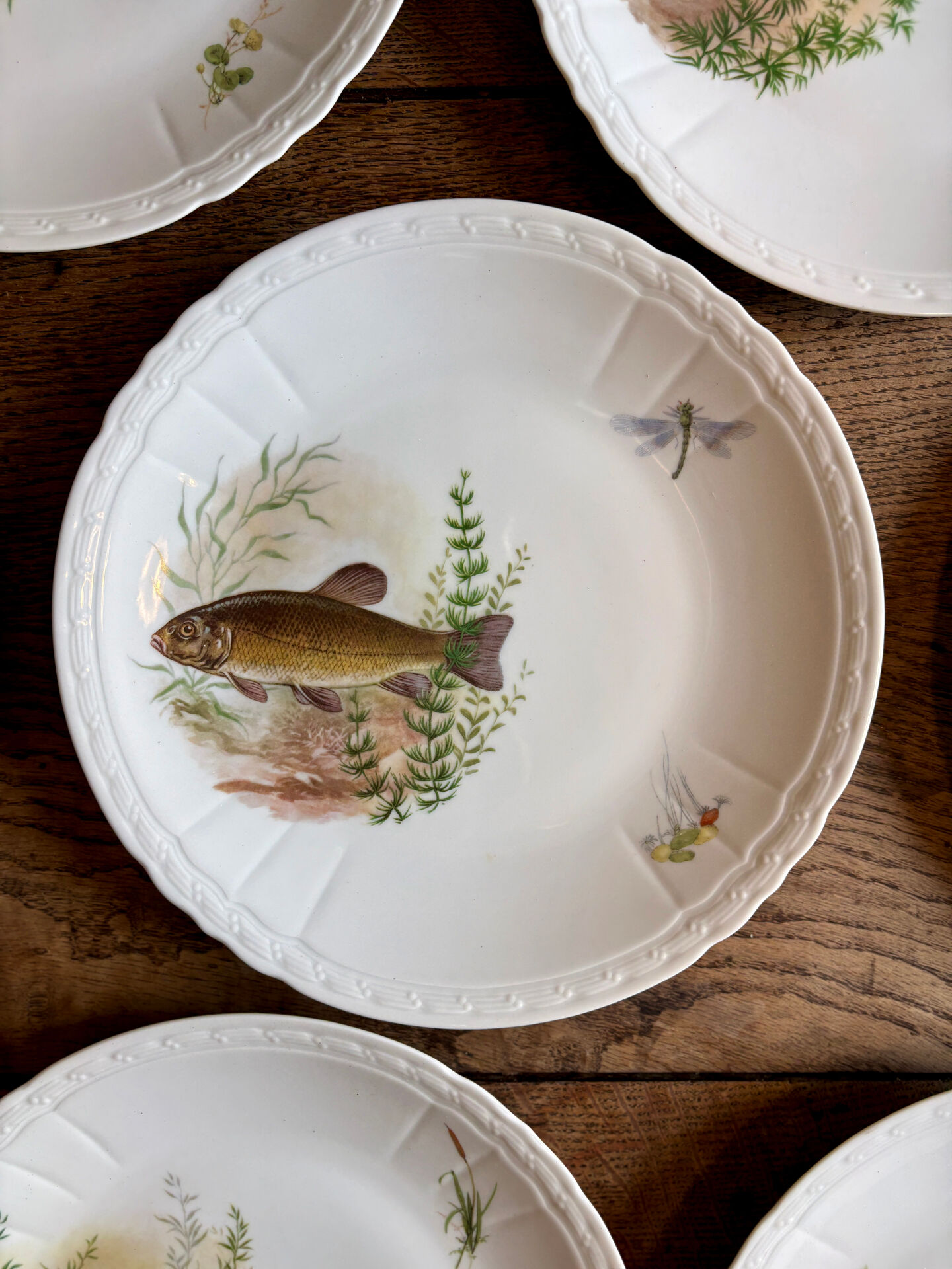 Set of 10 antique flat plates in porcelain, decorated with fish.