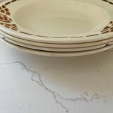 Charbonnier-Salins plates