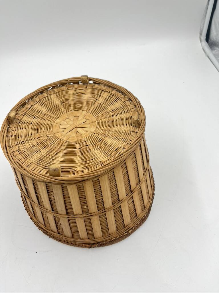 Wicker plant pot