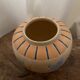 Vase fish sea beach shell