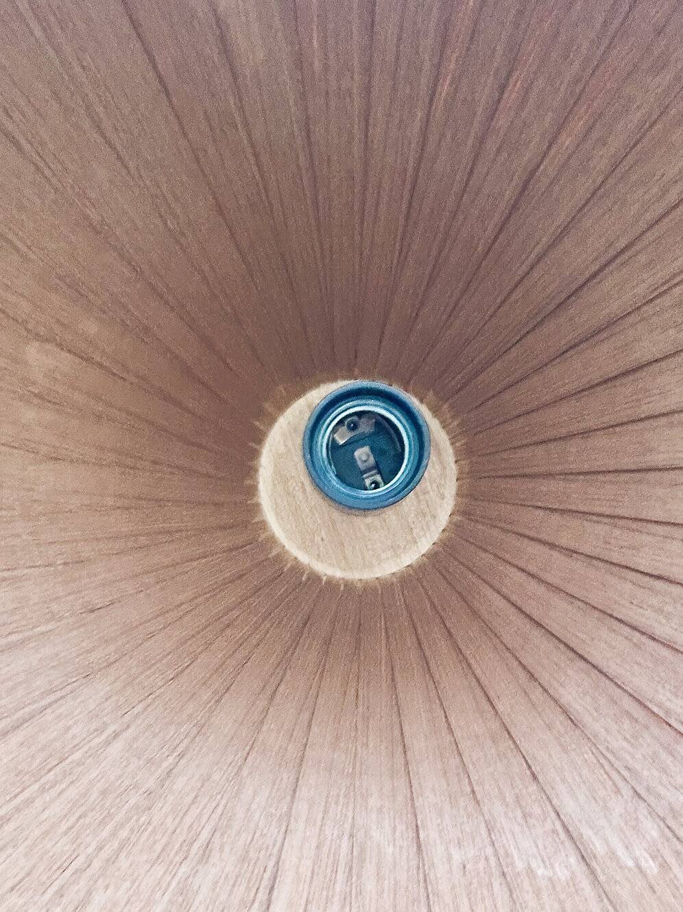 Swirling pine pendant by Hans-Agne Jakobsson, Sweden, 1960s.