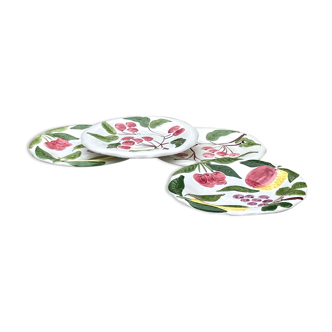 Hand painted fruit decor plates