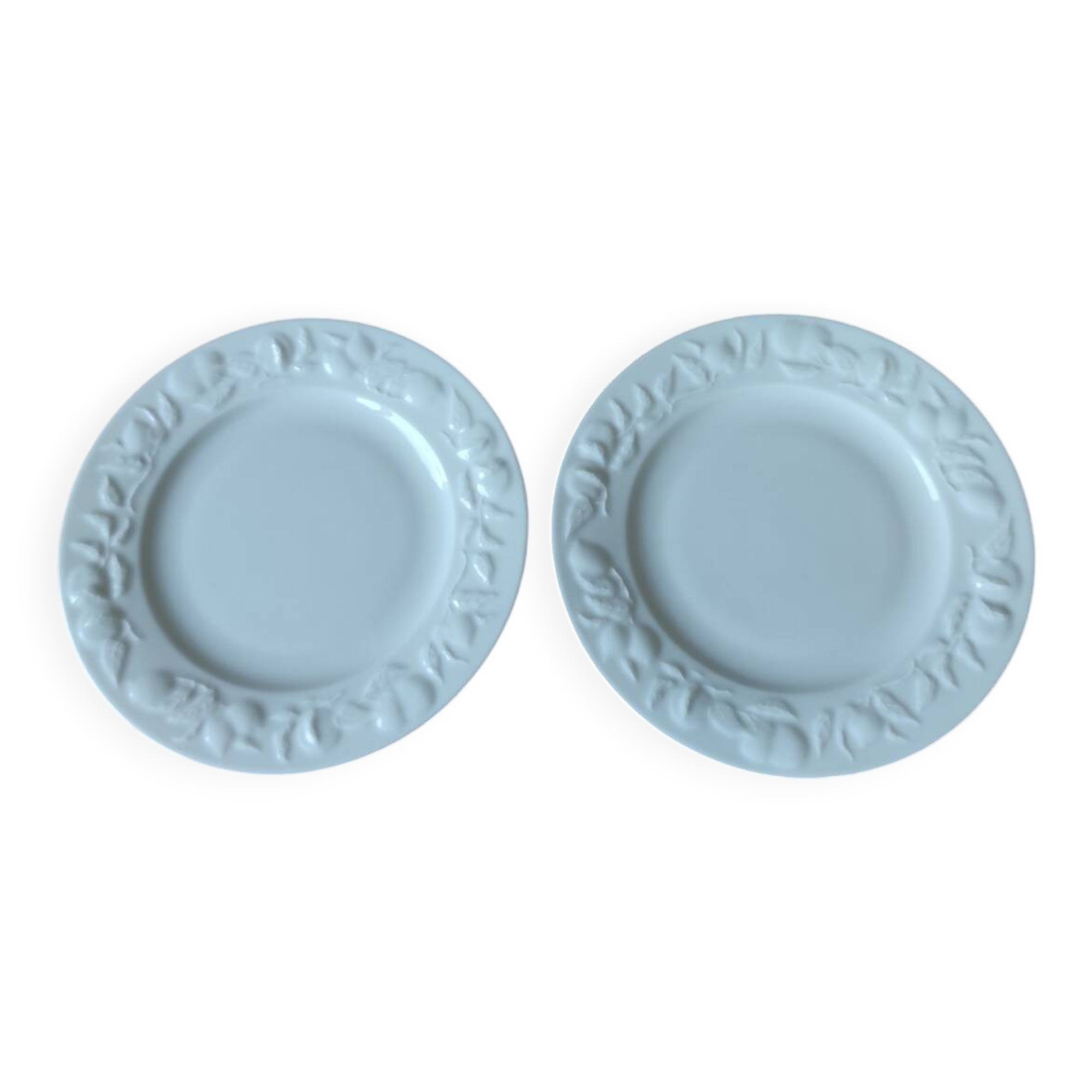 Set of 2 Limoges porcelain plates with Riviera decor