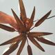 Golden leaf chandelier