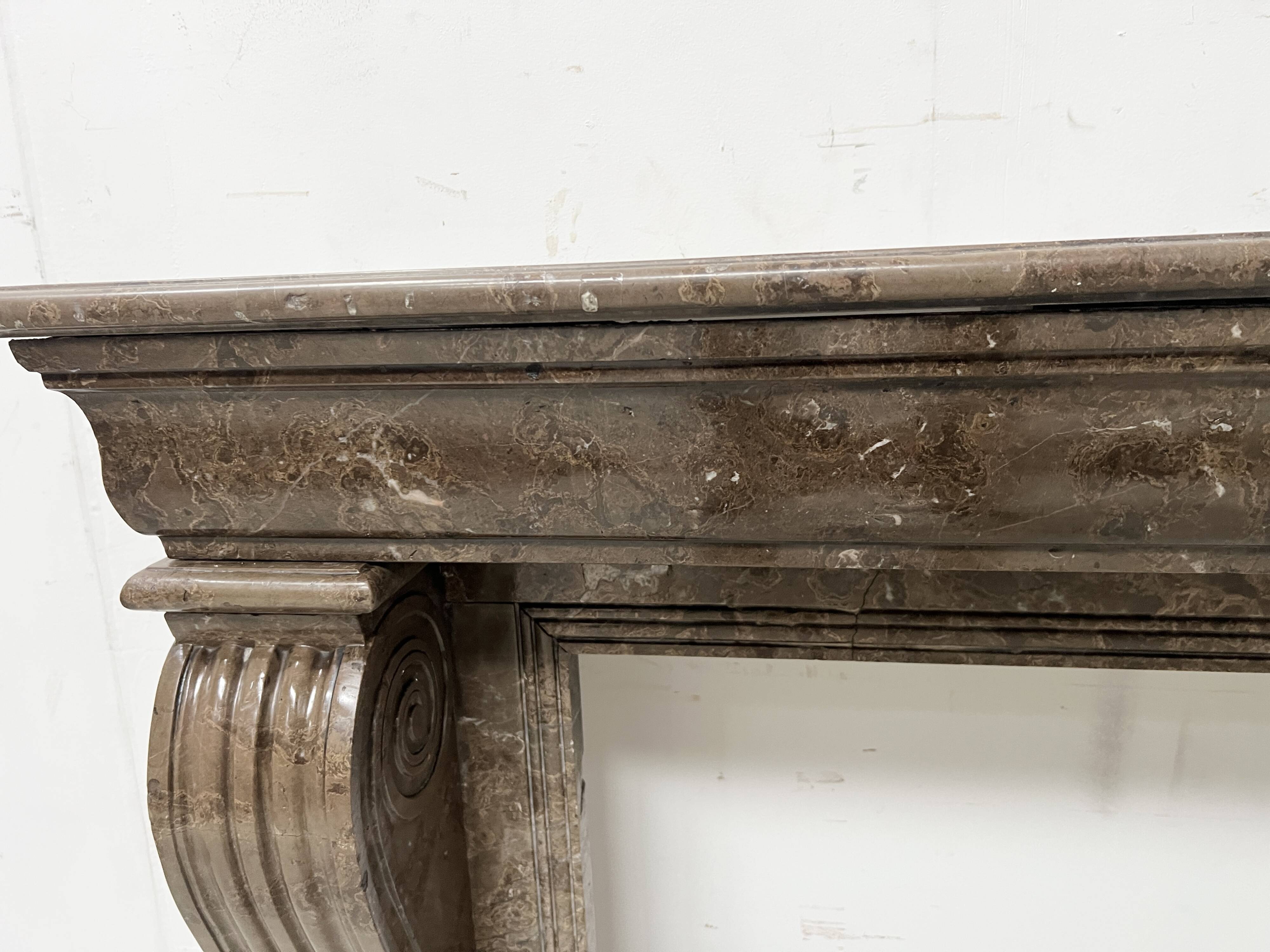 Napoleon III fireplace with claw feet in speckled marble, 19th century.