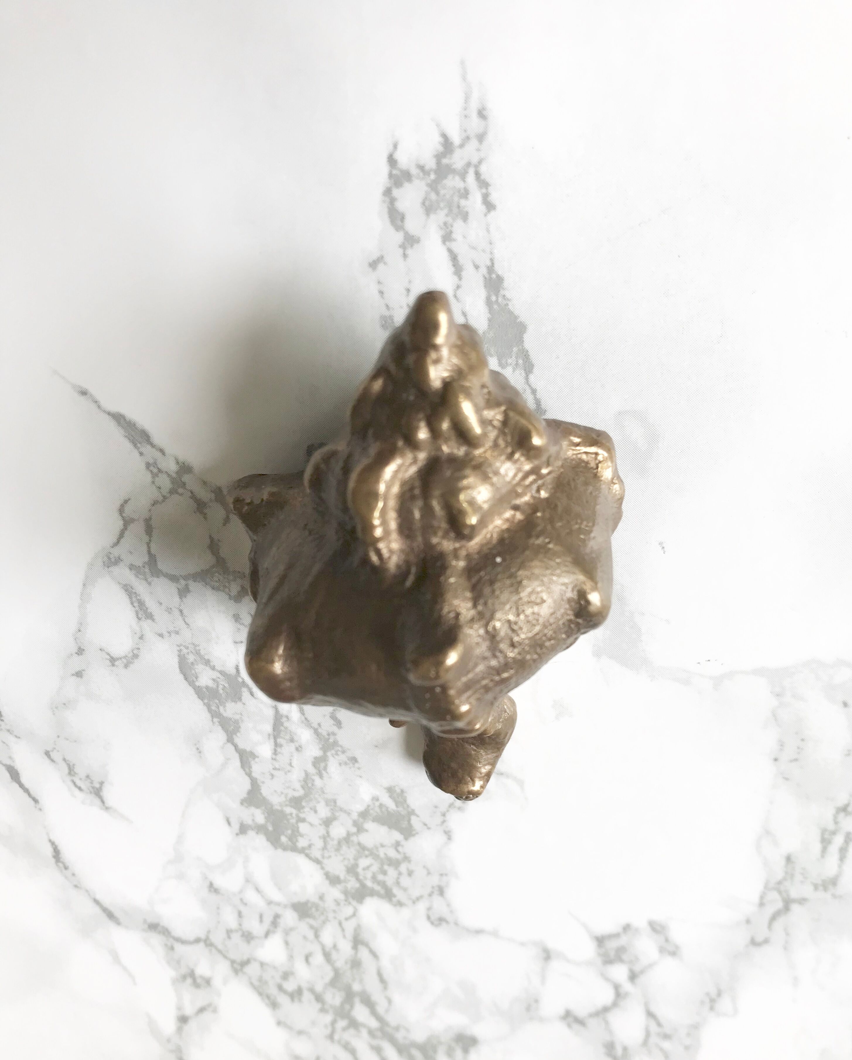 Pair of solid bronze shells