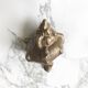 Paire de coquillages en bronze massif