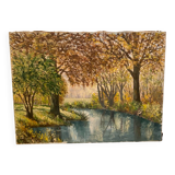 Forest landscape and its stream