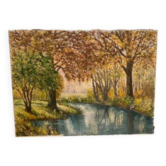 Paysage de forêt et son ruisseau