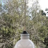 Vintage opaline pendant light