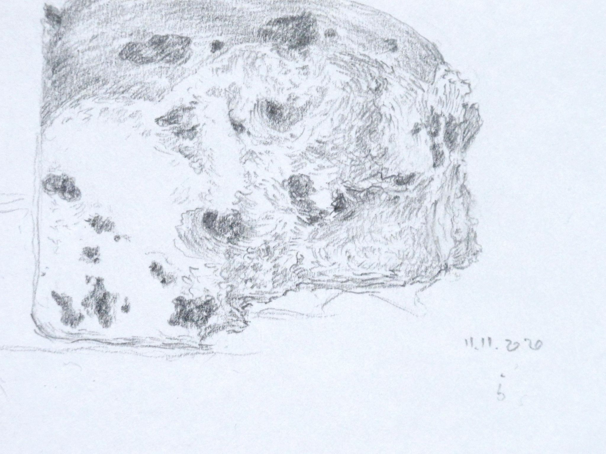 Brioche, dessin original