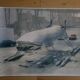 lithographie offset Panamarenko, Scotch Gambit, 2000