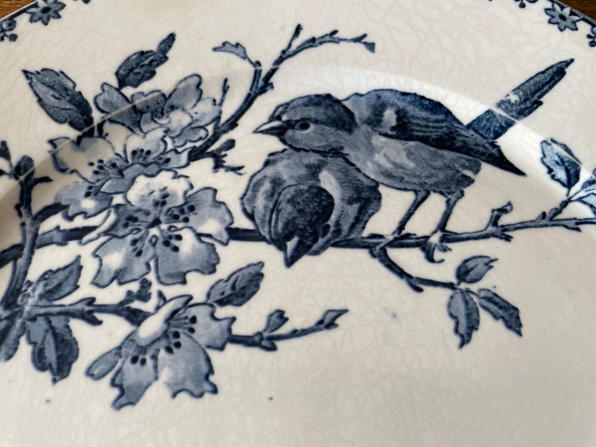 Flat plates Sarreguemines Terre de Fer model Blue Favorite
