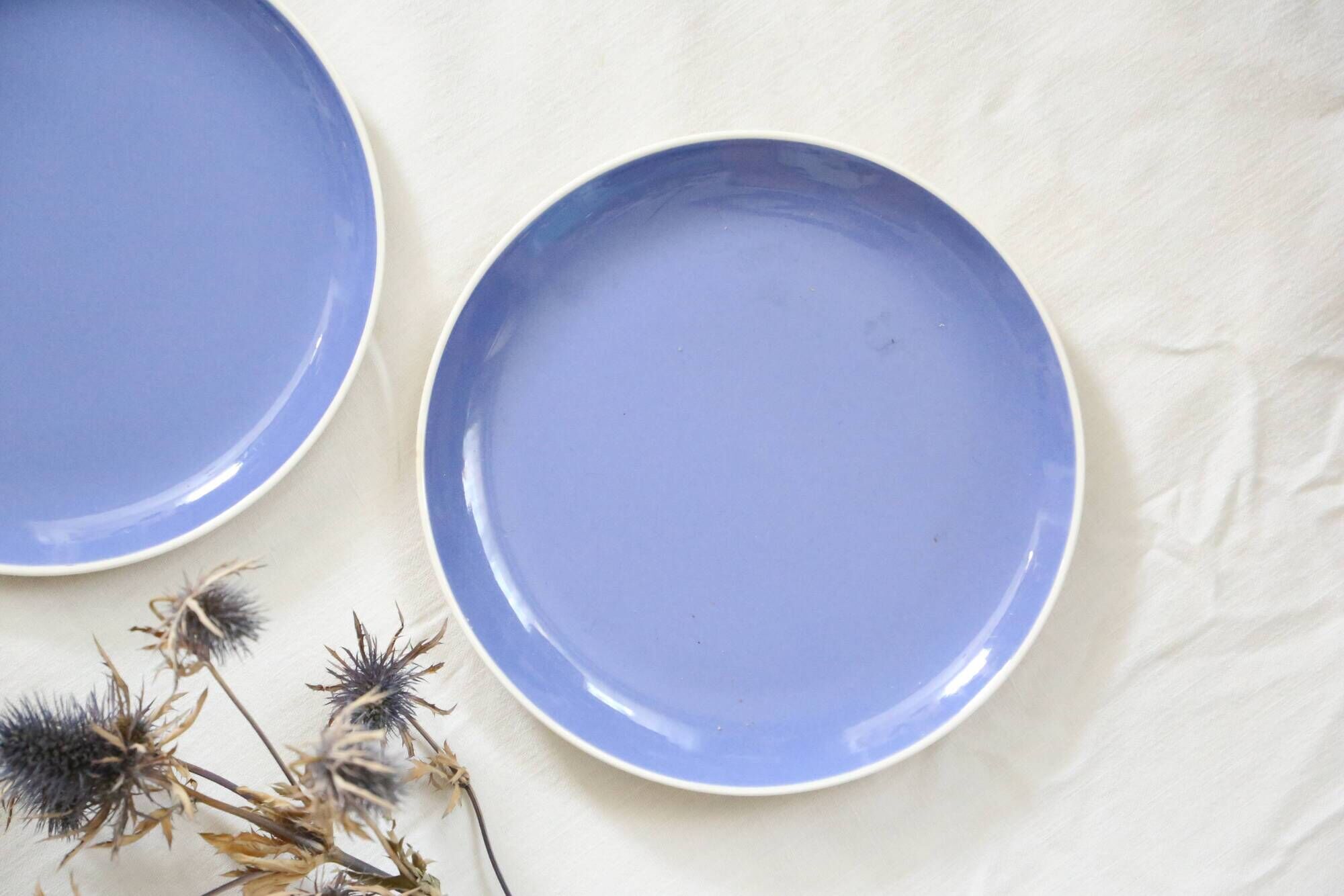 Duo of blue dessert plates, SAAR, Villeroy and Boch model, vintage