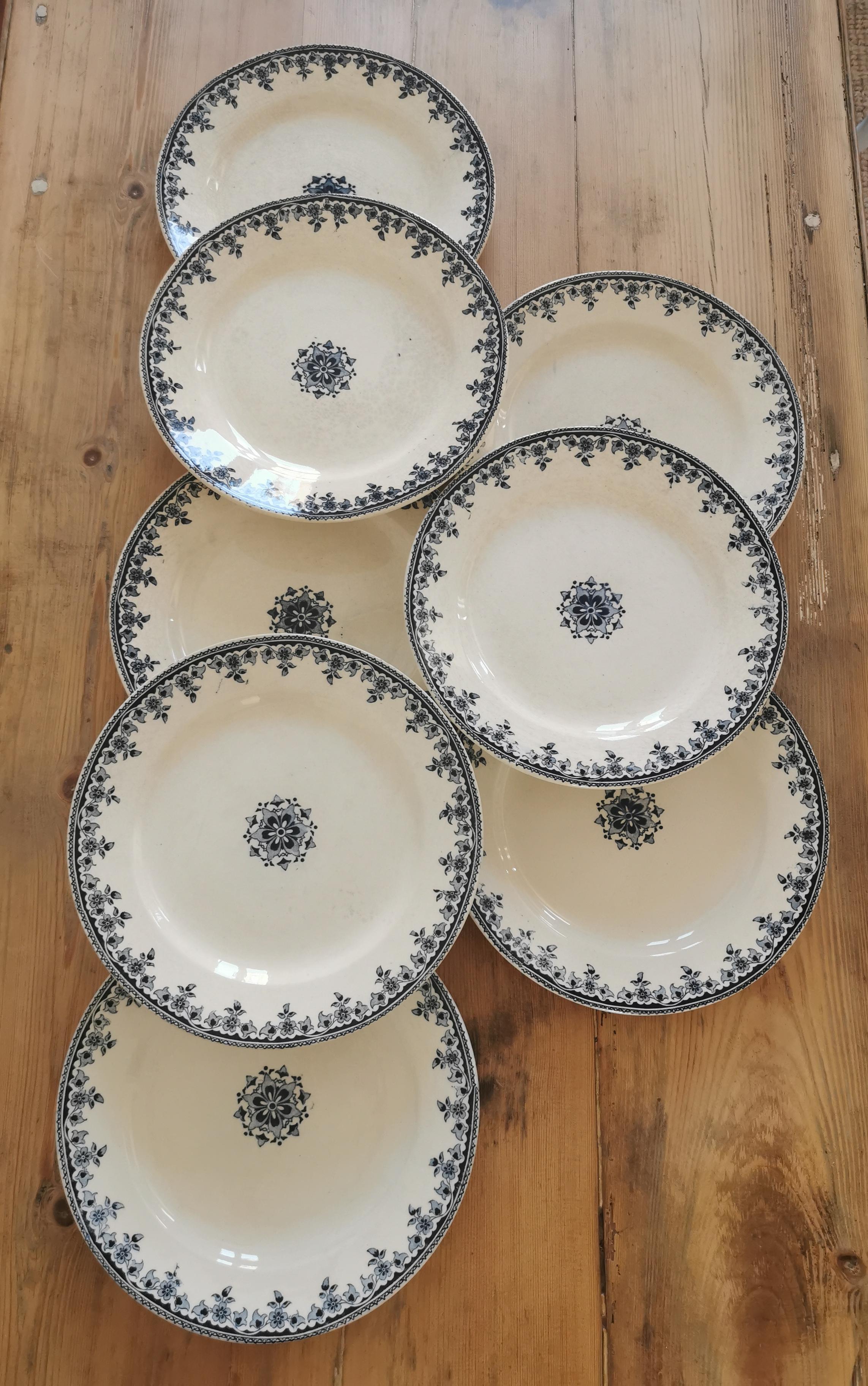 Service of 8 vintage plates in Iron Land