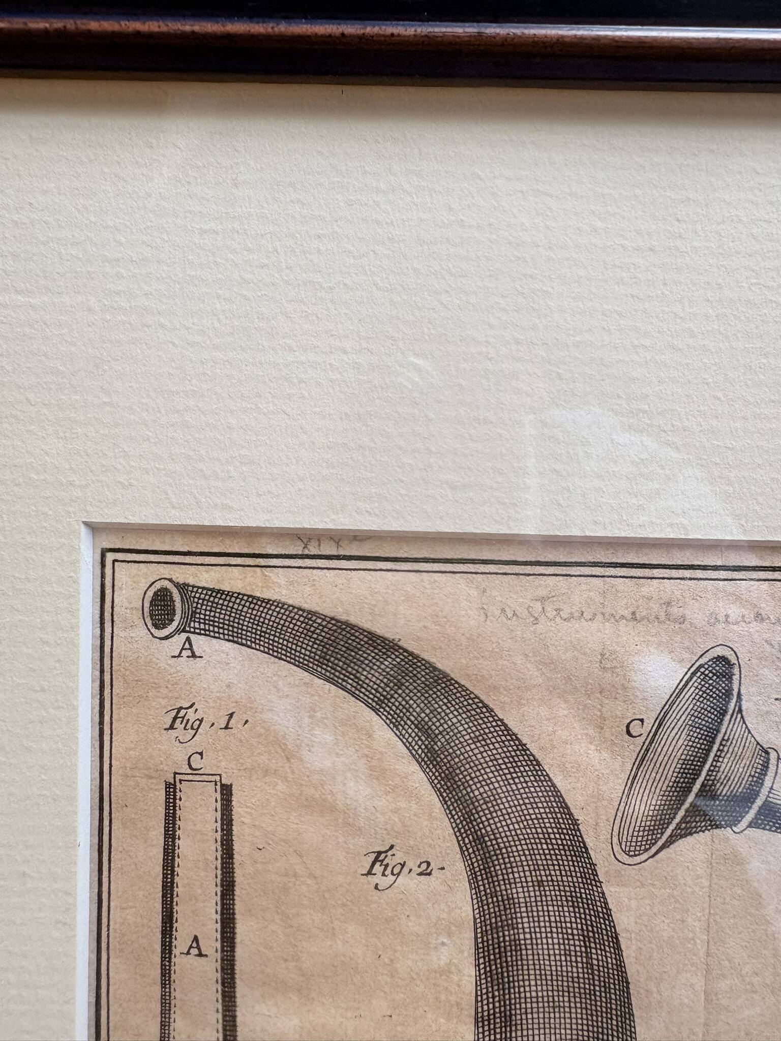 Antique Print Engraving 19th Century Framed Medical Instruments engraving Lorenzo