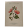 19th-century botanical engraving naturalist poster French flower wine
