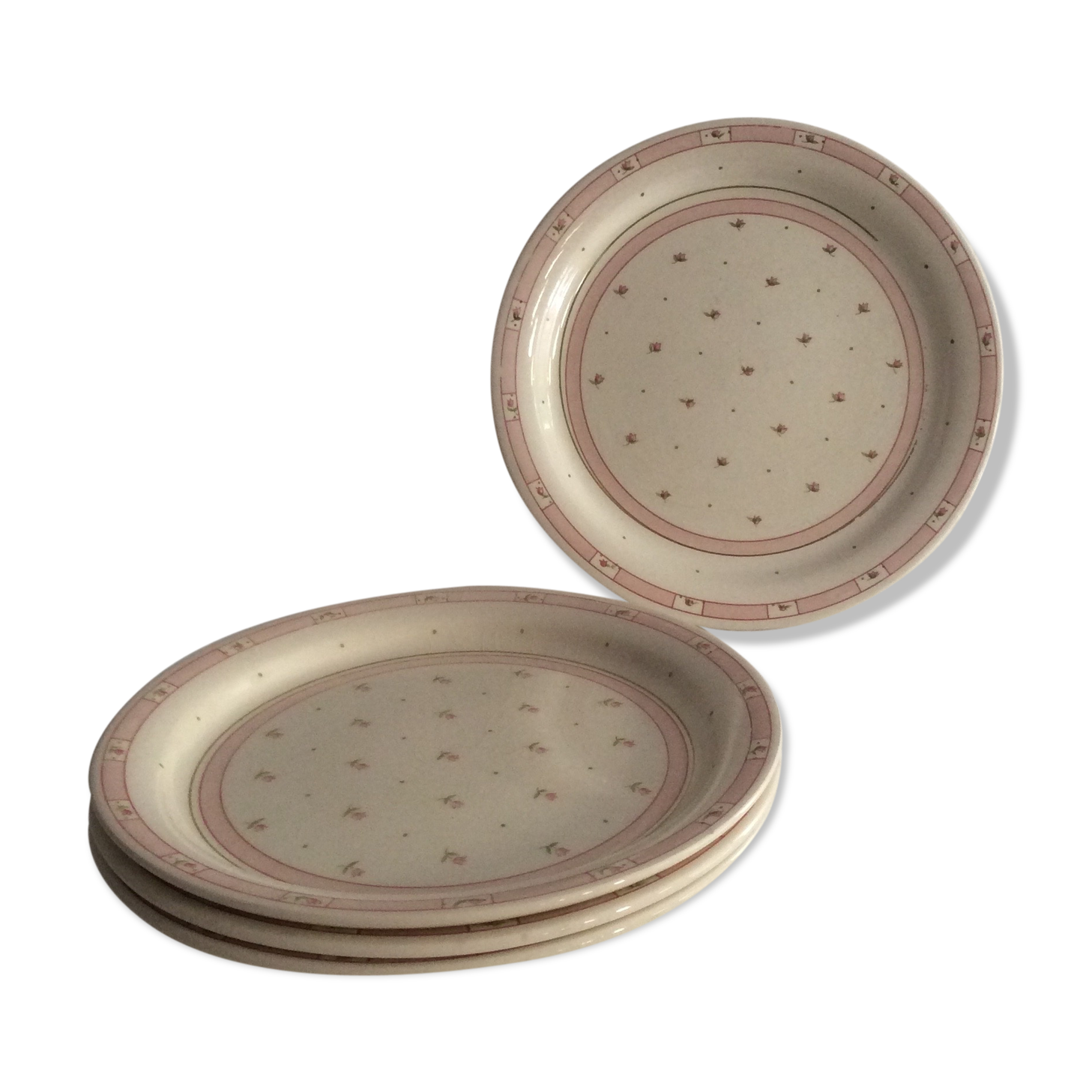 4 Assiettes plates terre de fer