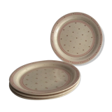 4 Assiettes plates terre de fer