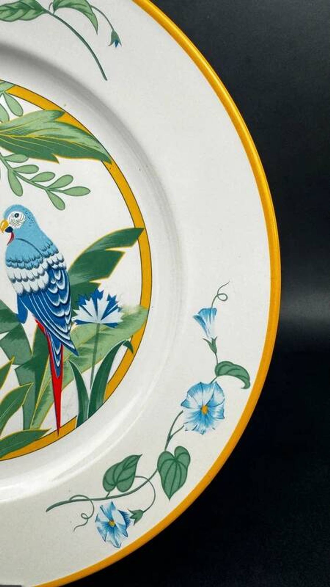 Assiette plate Pier Import modèle ARA 27,5 cm