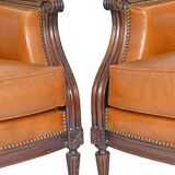Pair of large armchairs in Louis XVI style