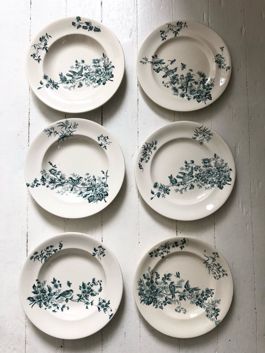 6 assiettes terre de fer oiseaux Longwy « mignon »