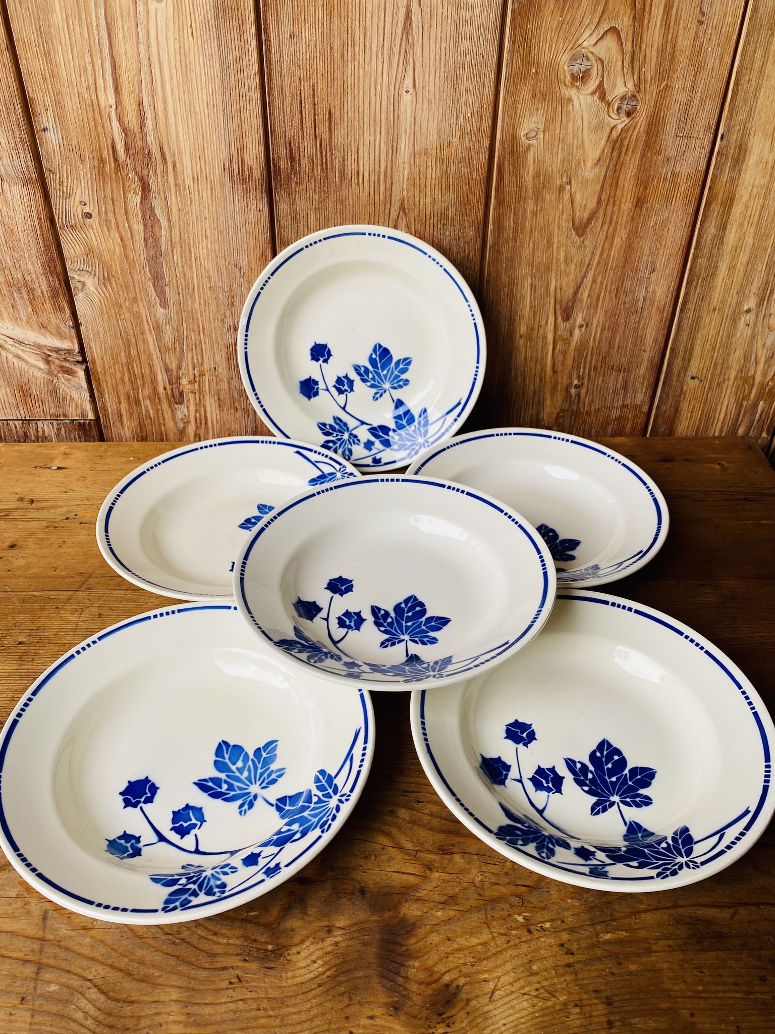 Set of 6 old hollow plates Badonvilleliers blue flower pattern