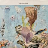 Old illustration Millot "Oceanography"
