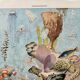 Old illustration Millot "Oceanography"