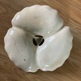 Dish and poppy flower vinegar