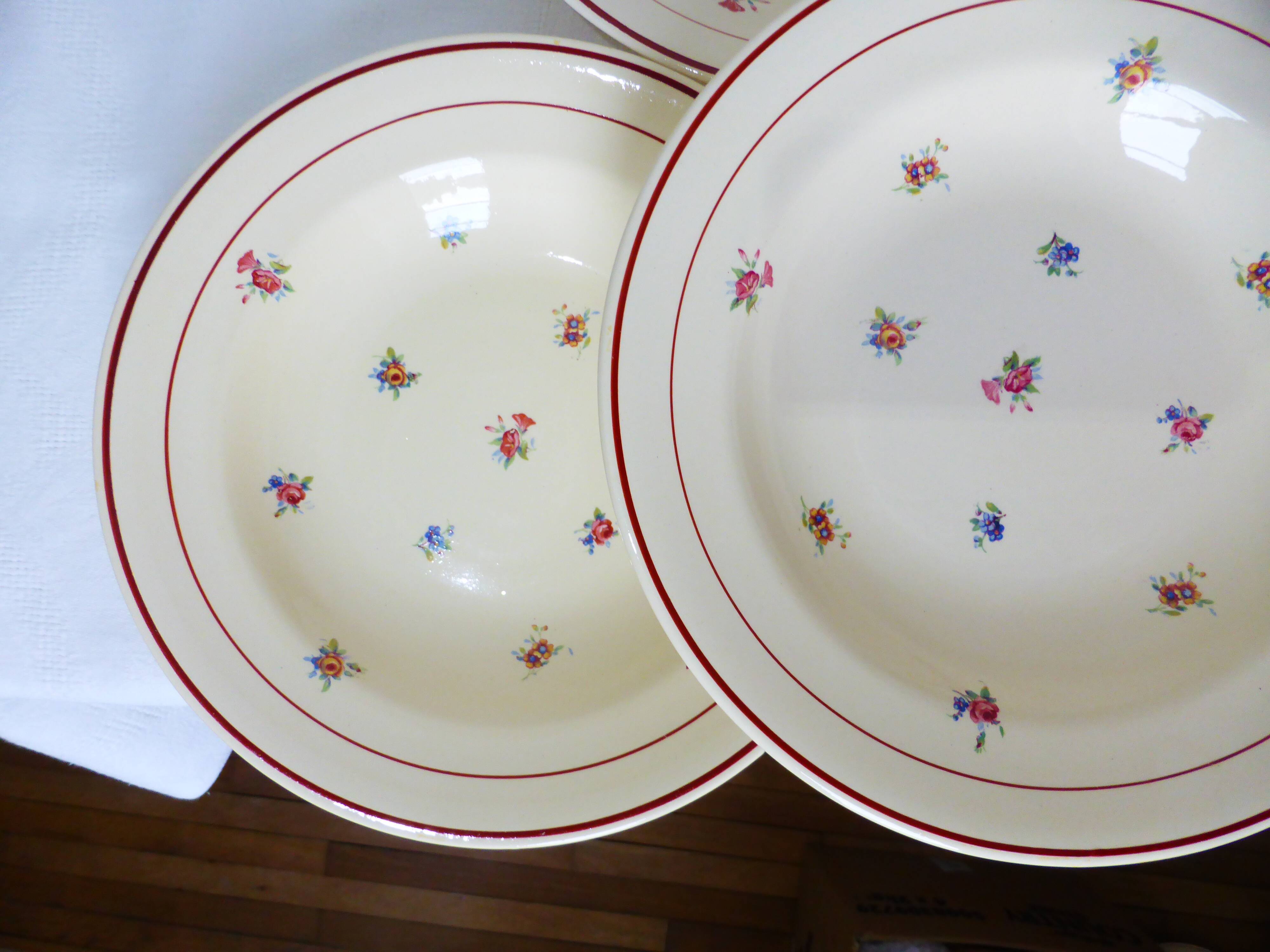 Set de 6 assiettes creuses vintage en porcelaine des Salins 2103127
