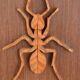 Plaque décorative en bois avec motif d'insecte