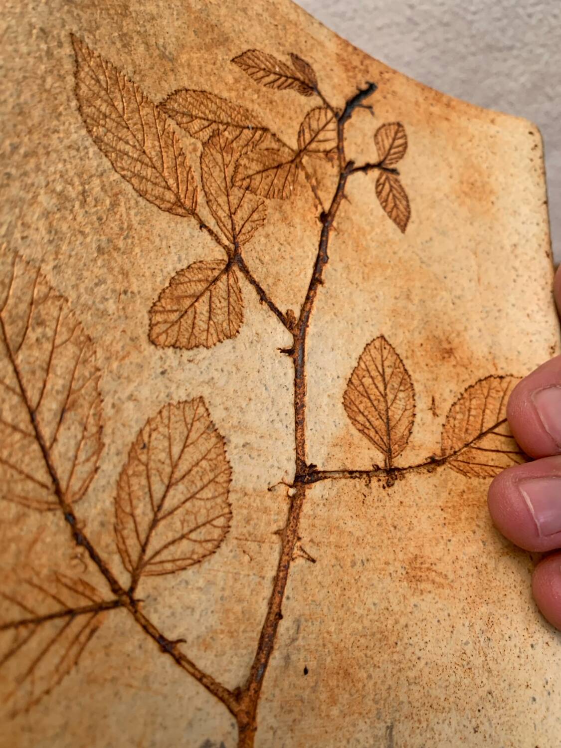 Ceramic Vase Vallauris Raymonde Leduc Herbarium Vintage