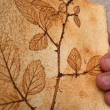 Ceramic Vase Vallauris Raymonde Leduc Herbarium Vintage