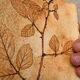 Ceramic Vase Vallauris Raymonde Leduc Herbarium Vintage