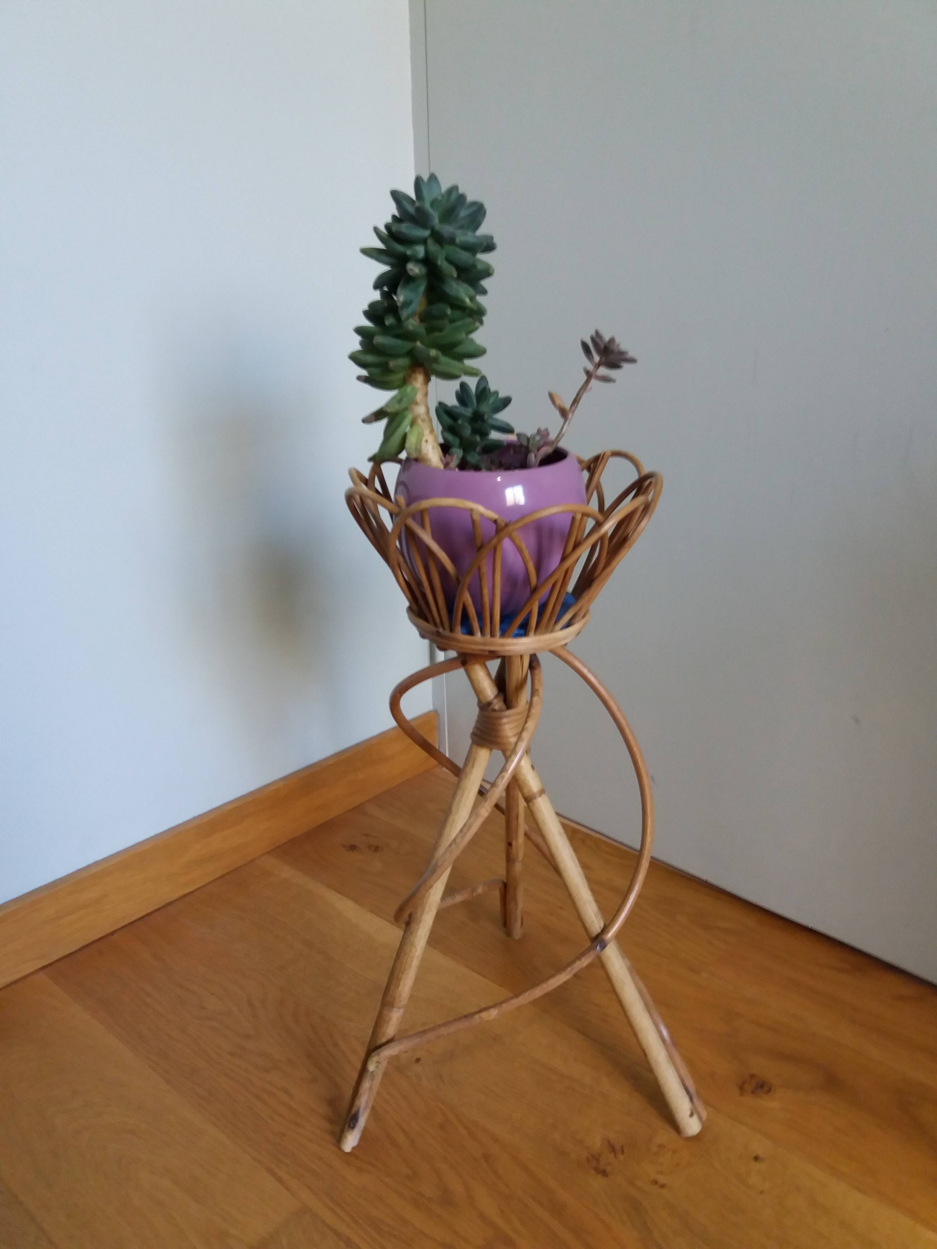 Rattan wicker plant holder