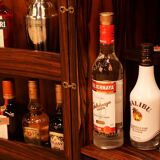 Scandinavian bar on wheels by Illum Wikkelsø for CFC Silkeborg