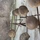 African oil lamps on stands