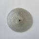 Vintage XL Murano glass wall light, Italy, 1970.