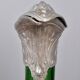 Antique Art Nouveau carafe - Bird jug enamelled glass