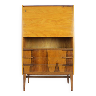 Midcentury Secretary or Cabinet by František Mezulánik for UP Závody, 1960s