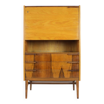Midcentury Secretary or Cabinet by František Mezulánik for UP Závody, 1960s