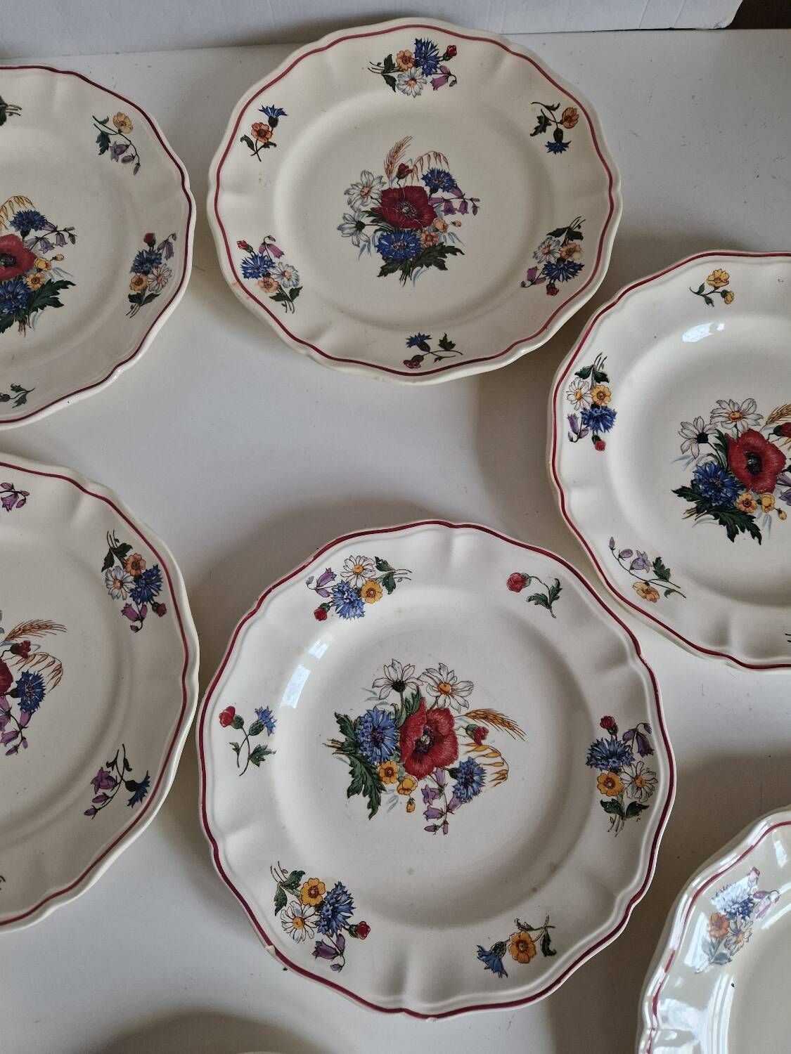 Set of 12 Sarreguemines Plates, Agreste Models