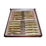 Coffret 24 couteaux anciens