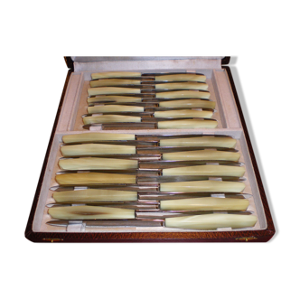 Coffret 24 couteaux anciens