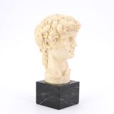 Bust of David by Michelangelo, 1970s