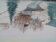 Paysage franc-comtois sous la neige