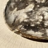 Very large empty pocket or dish in medium light petrified wood 1143